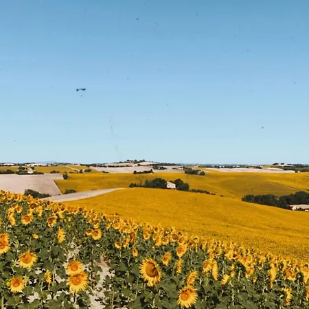 Casa Nella Natura Malaserena בית חווה